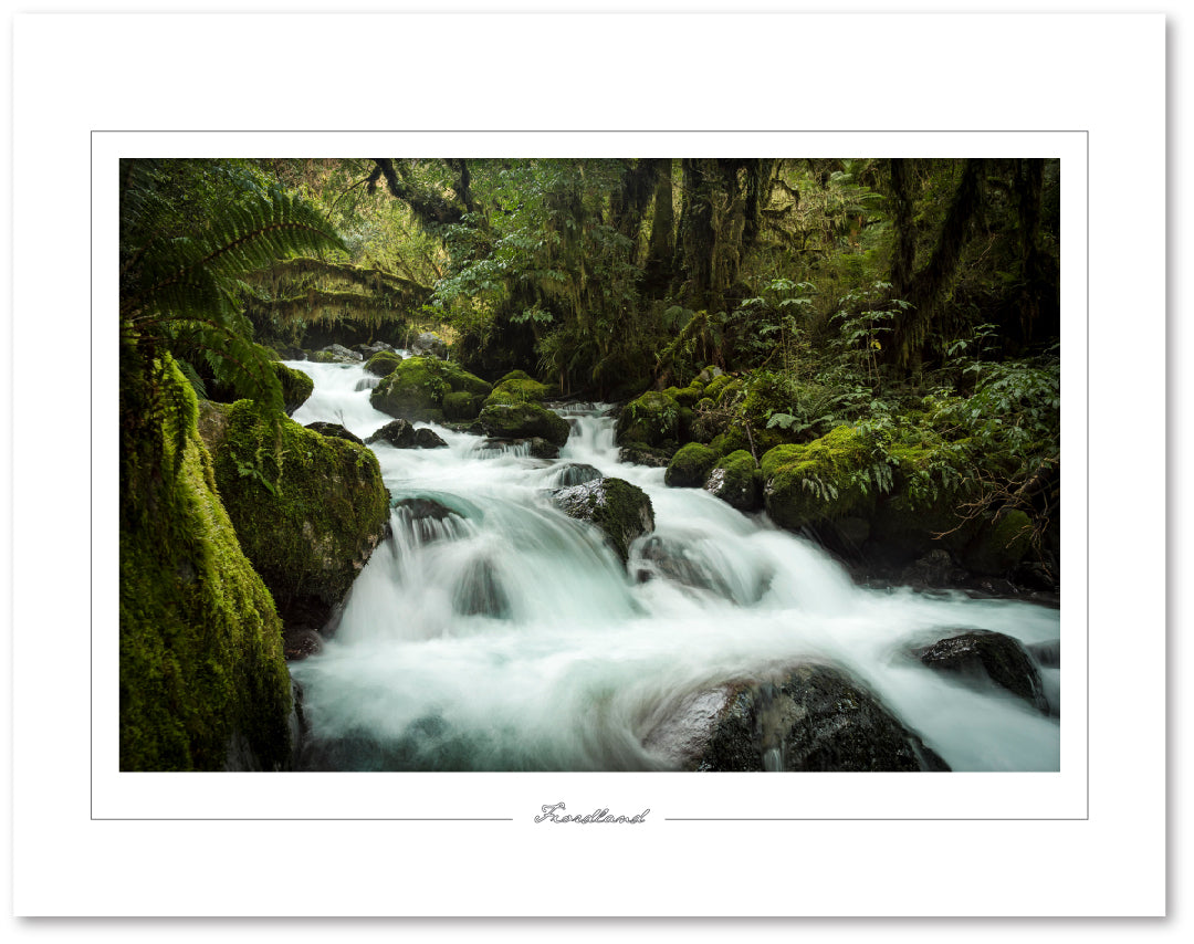 Hollyford Valley waterfall