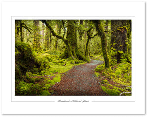 Fiordland track