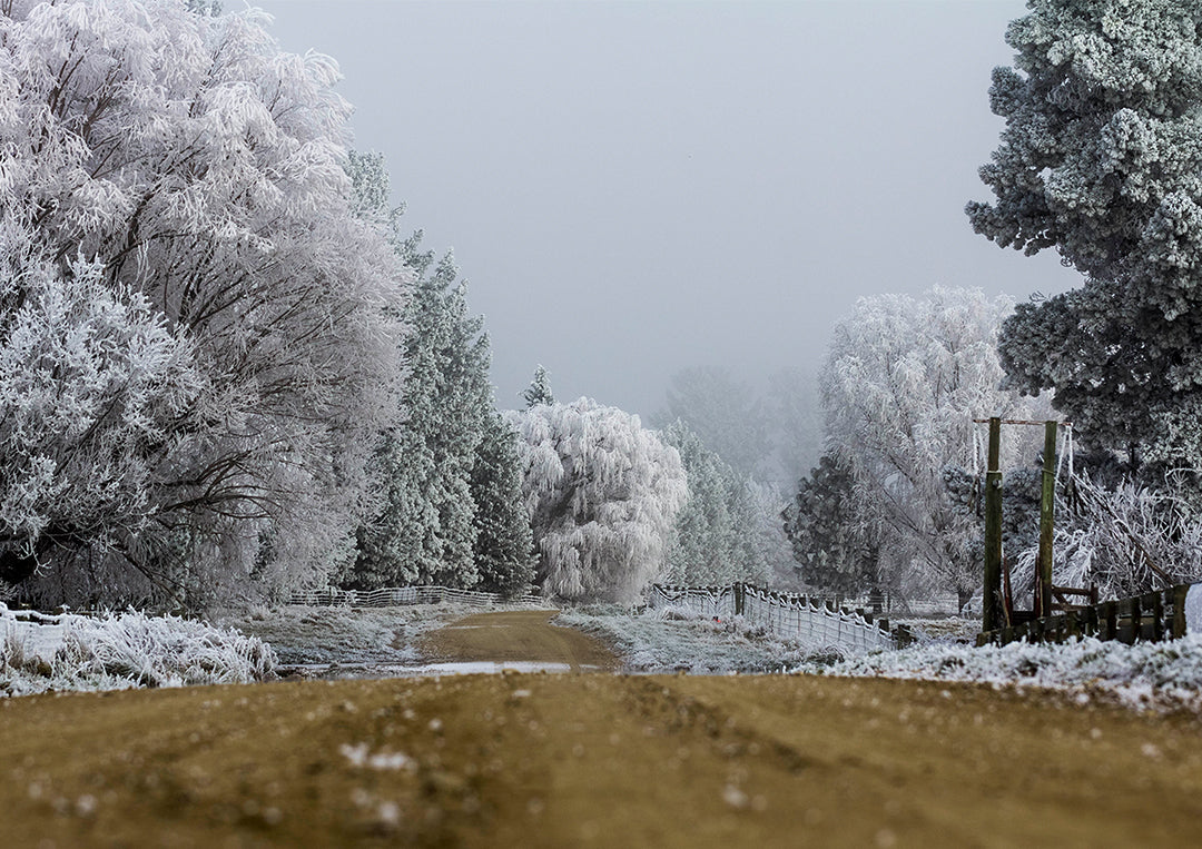 Hoar Frost