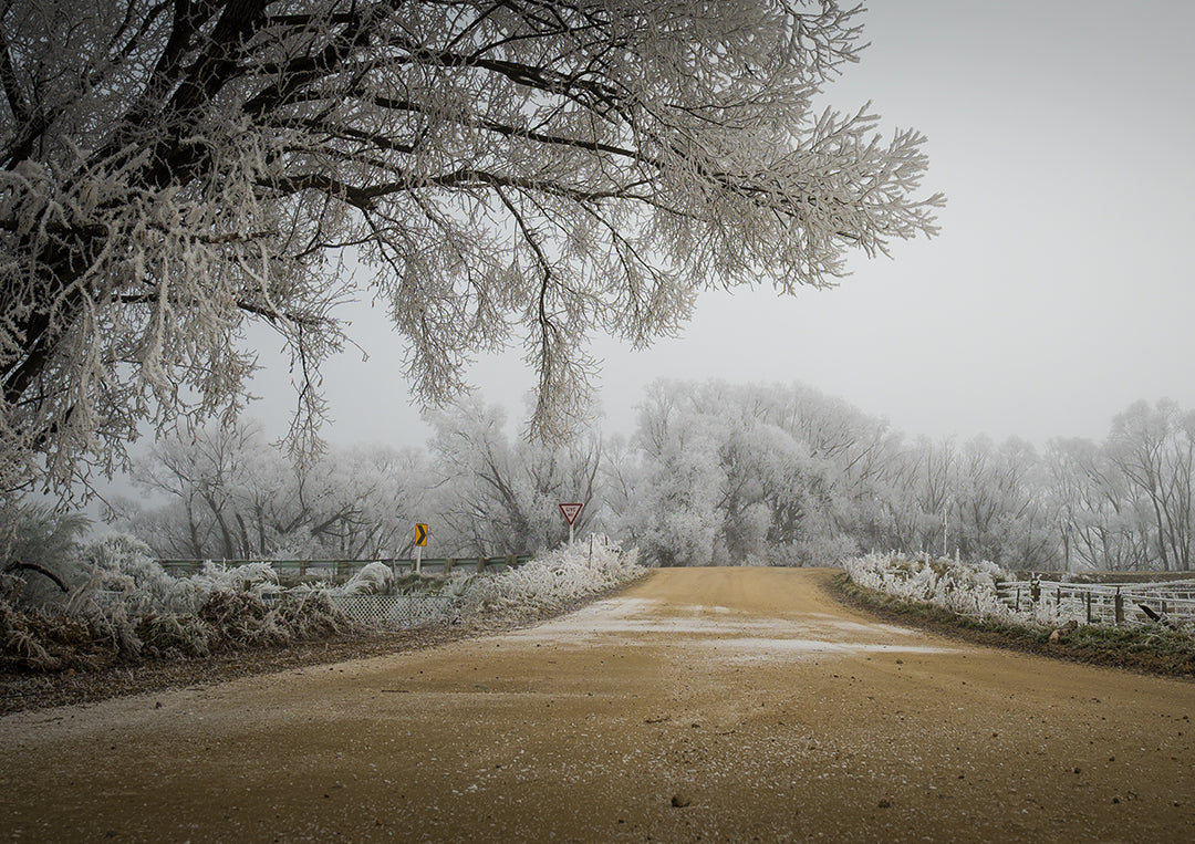 Hoar Frost Give Way