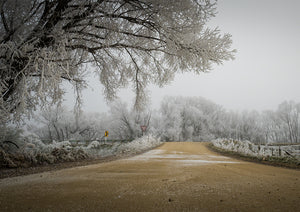 Hoar Frost Give Way