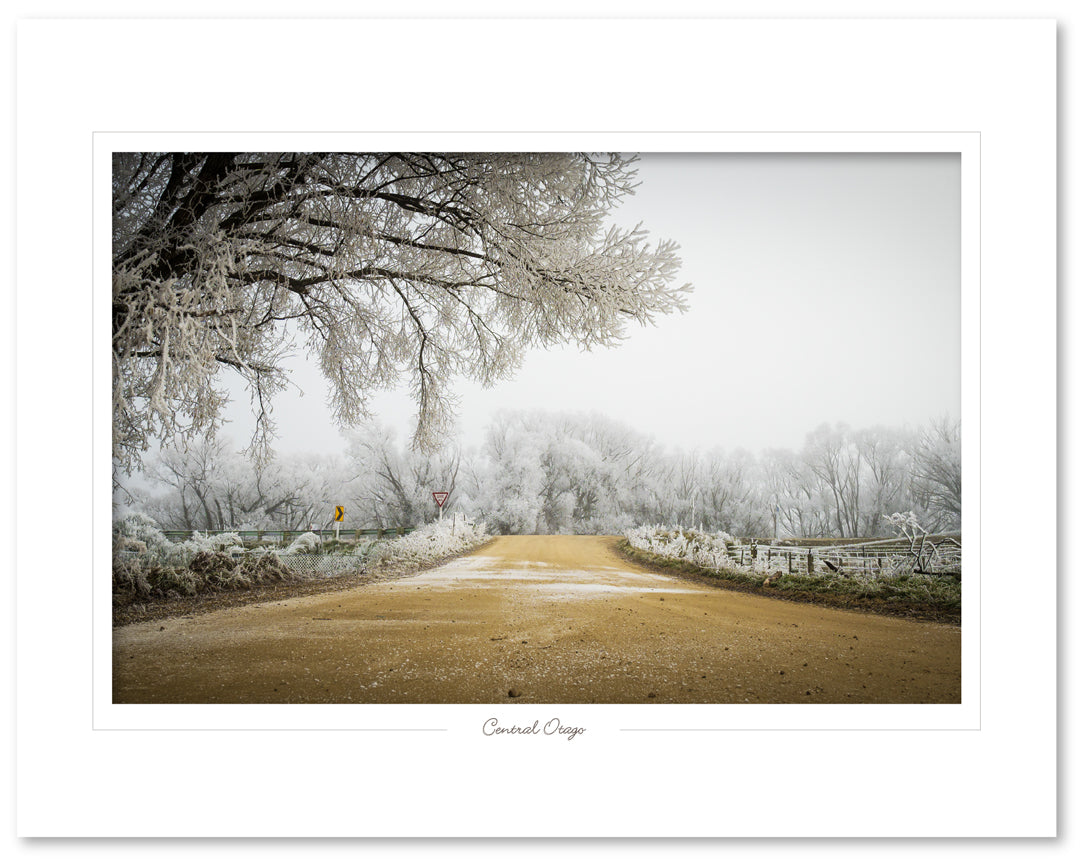 Hoar Frost give way