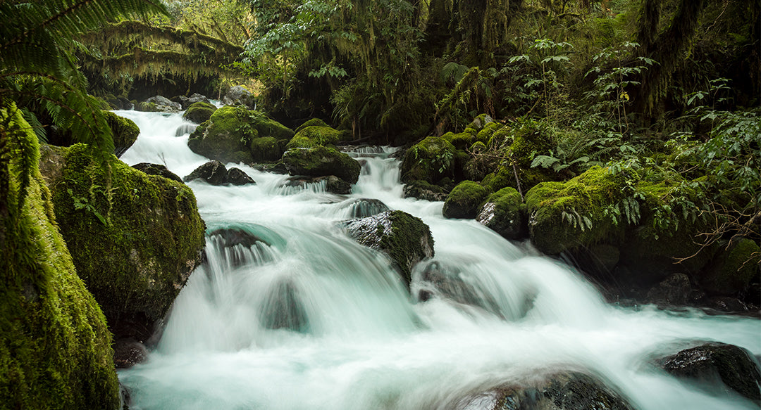 Hollyford Valley Waterfall