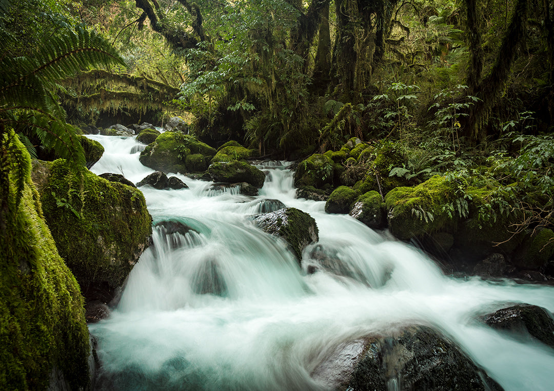 Hollyford Valley Waterfall