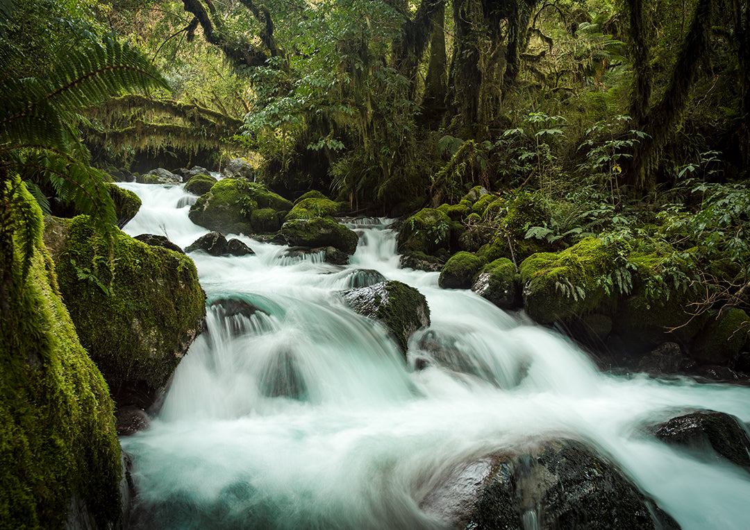 Hollyford Valley Waterfall