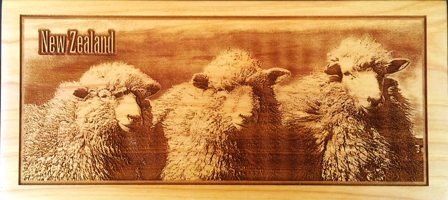 3 Sheep