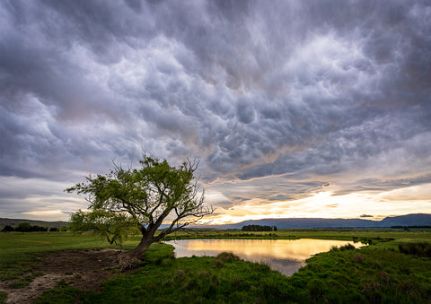 Mammatus Pond