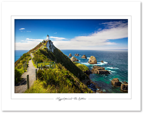 Nugget Point