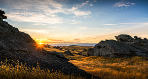 Poolburn Sunset Grass