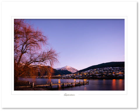 Queenstown Jetty tree