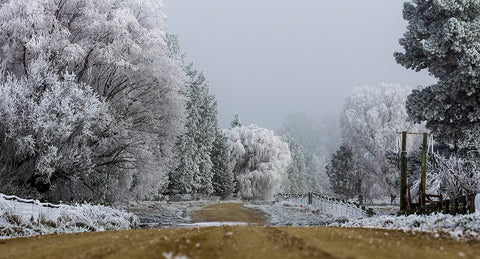 Hoar Frost